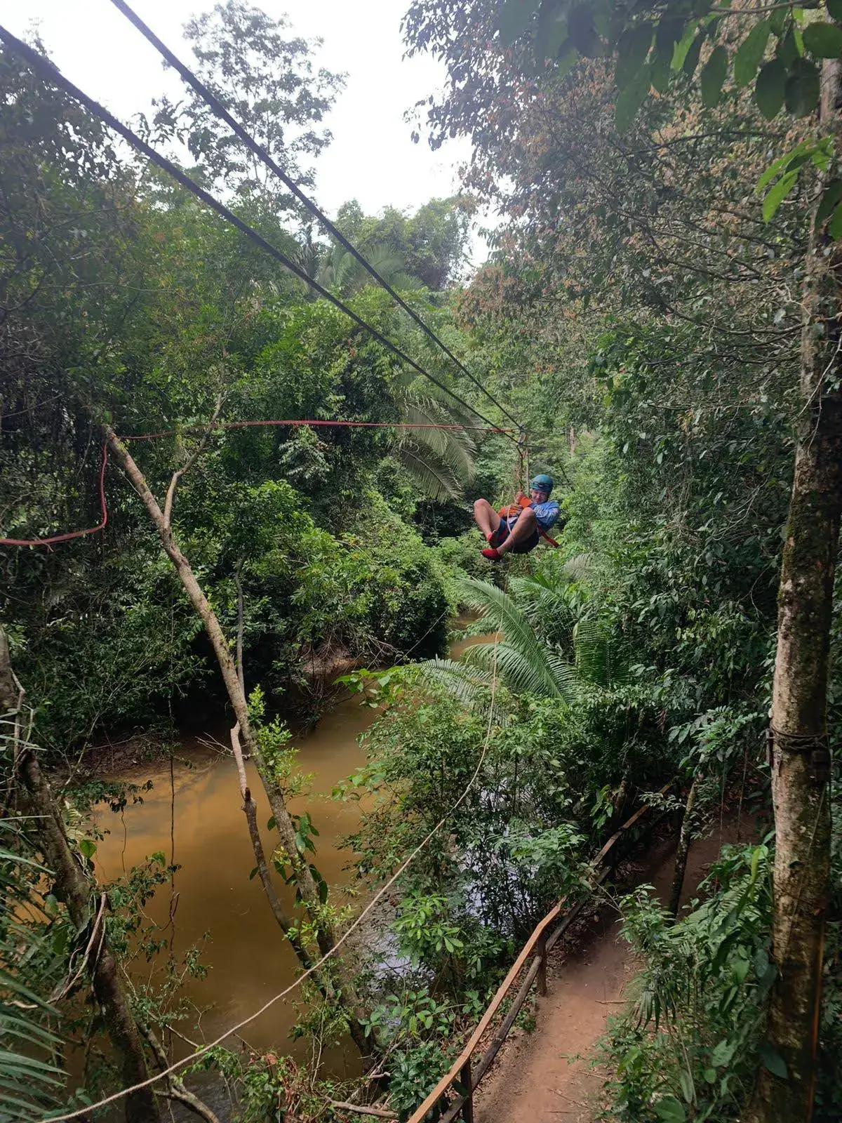 Jungle canopy adventure in Belize